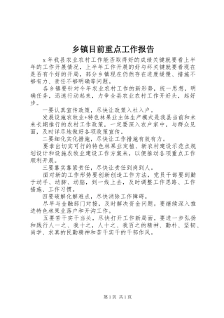 乡镇目前重点工作报告