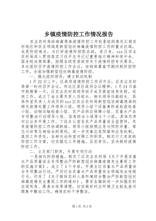 乡镇疫情防控工作情况报告