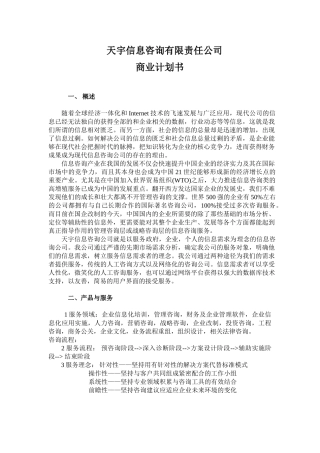 信息咨询有限责任公司商业计划