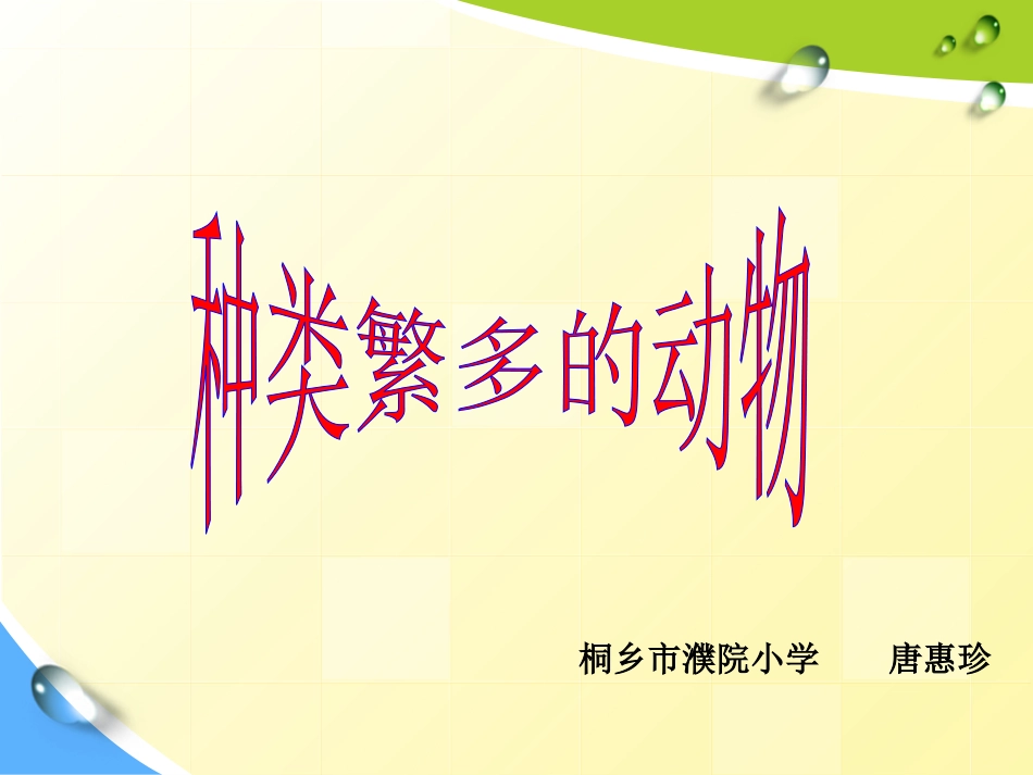 种类繁多的动物 (3)_第1页