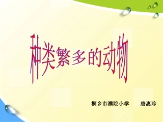 种类繁多的动物 (3)