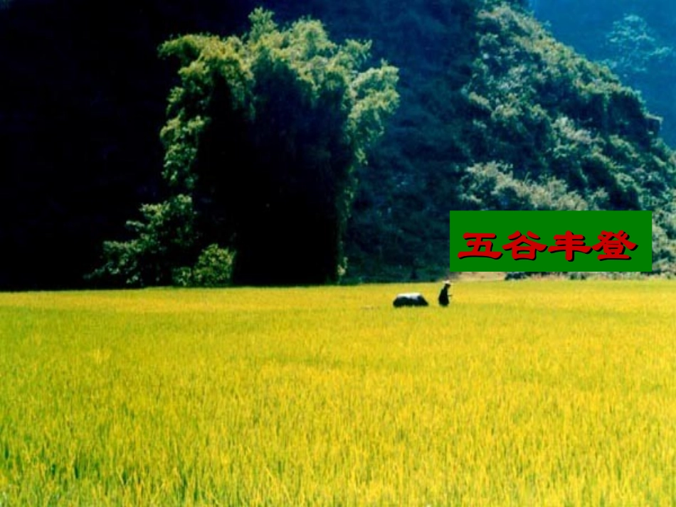 秋天的雨 (2)_第3页