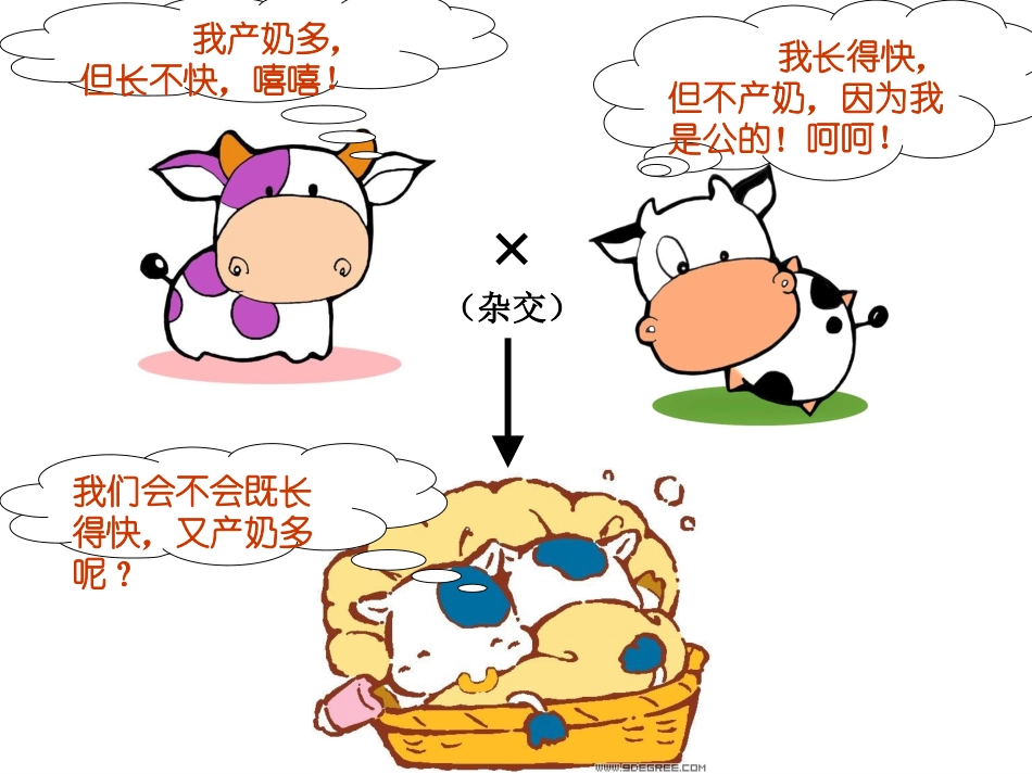 基因自由组合（我）_第2页