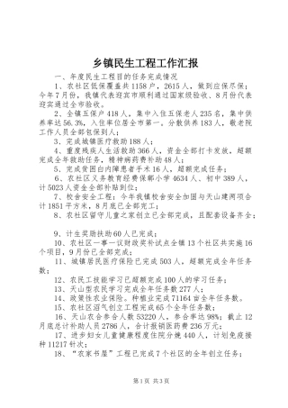 乡镇民生工程工作汇报