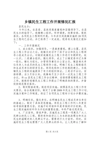 乡镇民生工程工作开展情况汇报