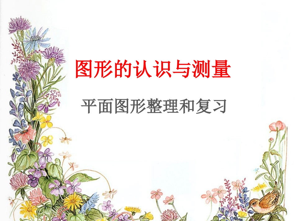 平面图形课件_第1页