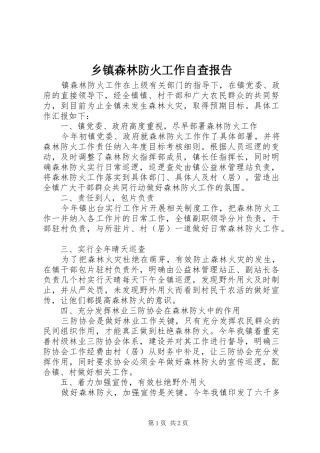 乡镇森林防火工作自查报告