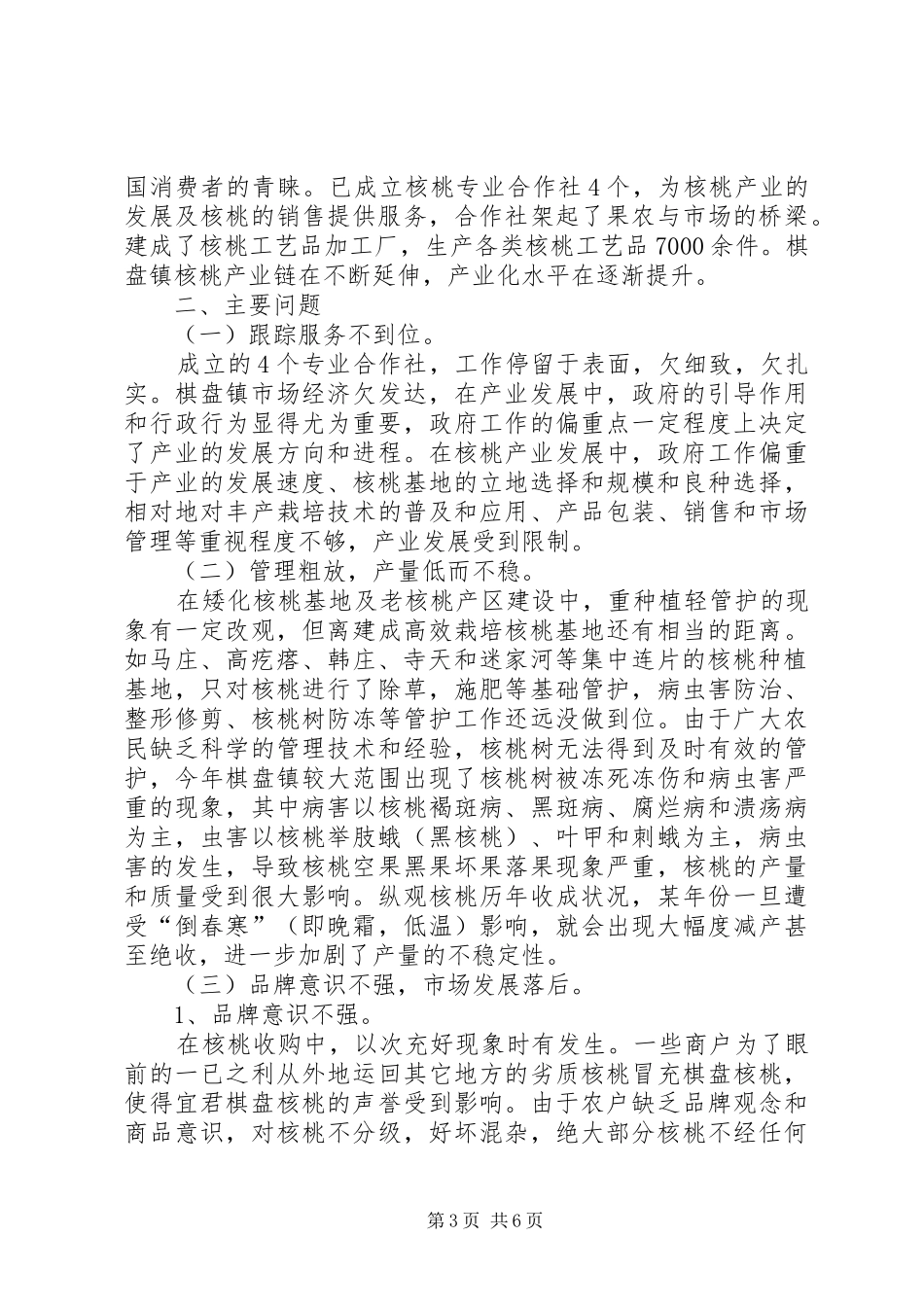 乡镇核桃产业发展调研报告_第3页