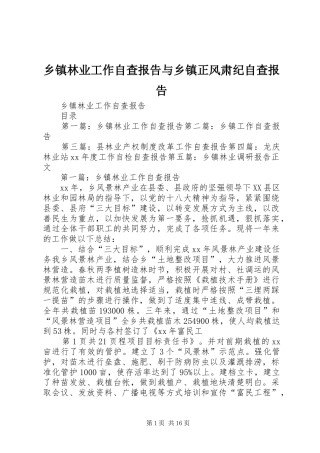 乡镇林业工作自查报告与乡镇正风肃纪自查报告