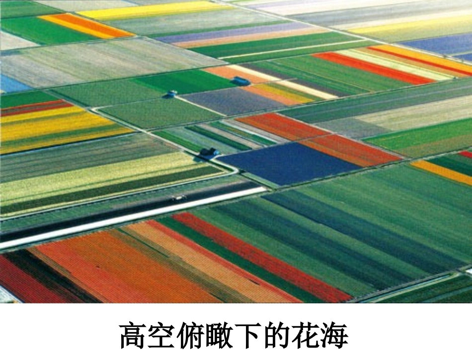 牧场之国有用_第3页