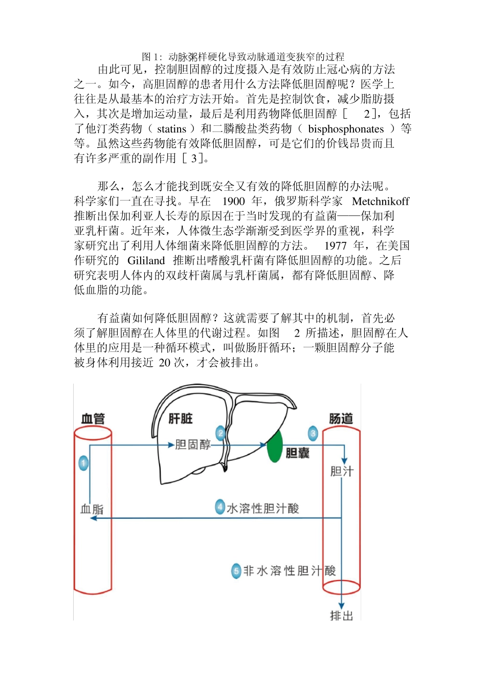 如何降低胆固醇,益生元可以帮助你_第2页