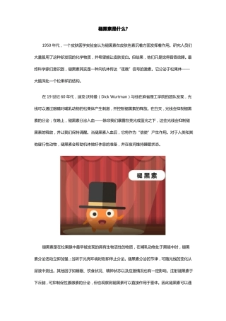 褪黑素是什么