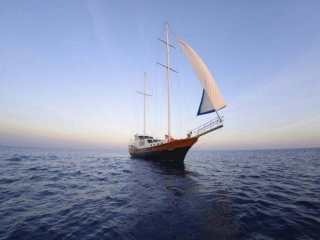 连接世界的新航路