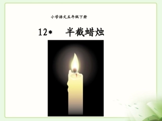 《半截蜡烛》教学课件