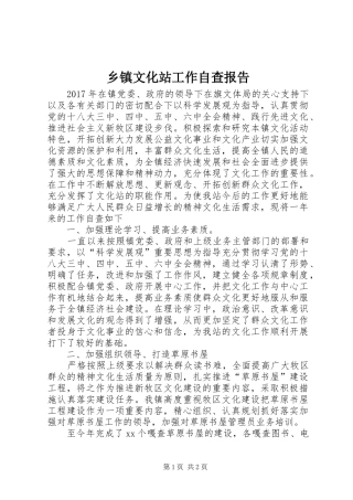 乡镇文化站工作自查报告