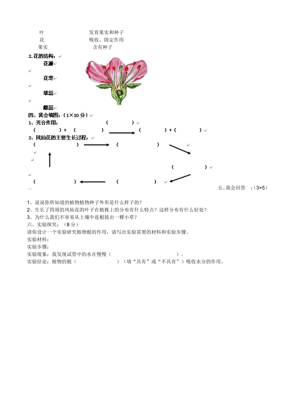 植物的生长变化试卷_第2页