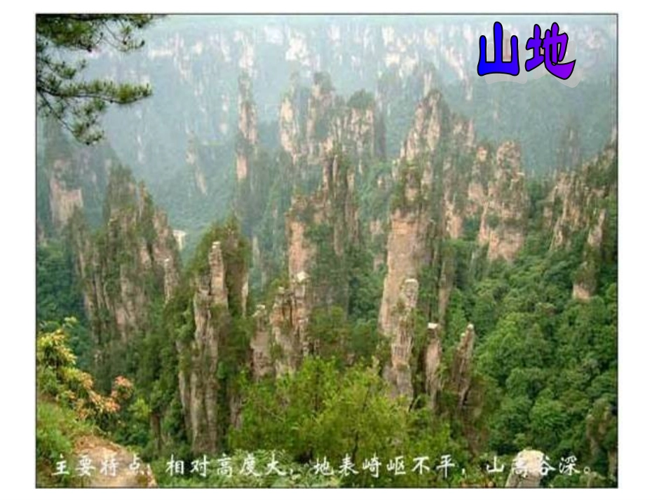 第二课第一课时复杂多样的地形_第2页