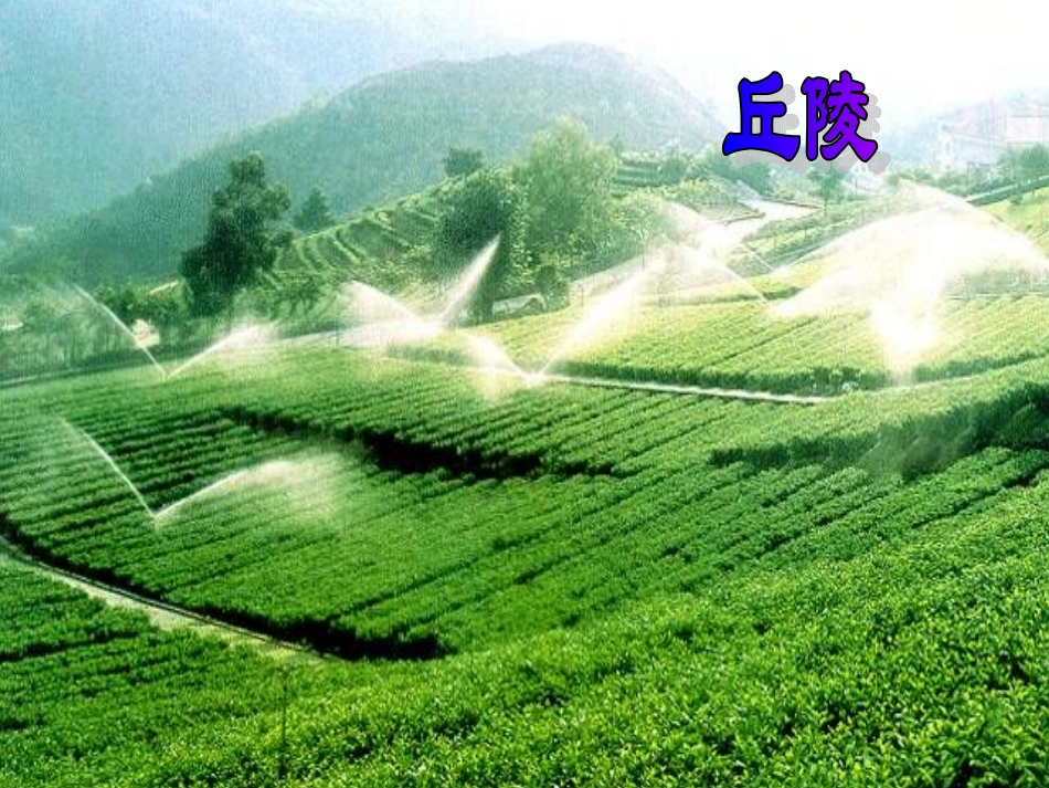 第二课第一课时复杂多样的地形_第3页