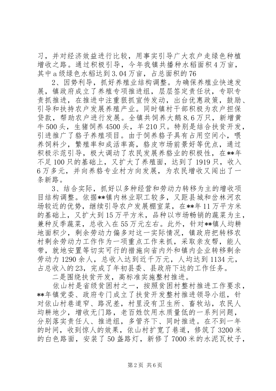 乡镇政府年终工作汇报_第2页