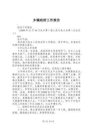 乡镇政府工作报告 (17)