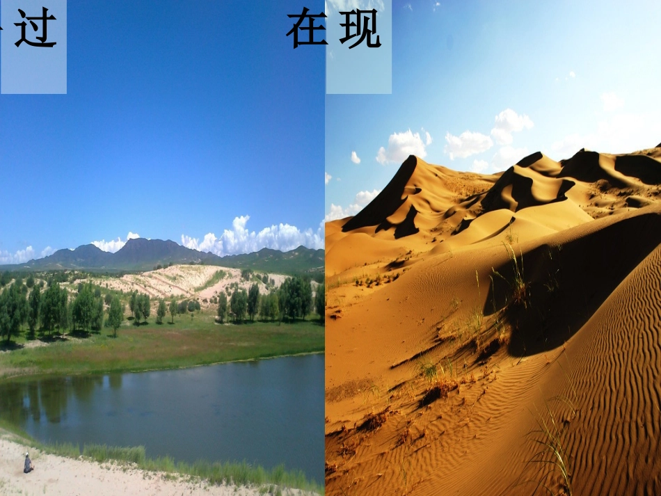 罗布泊消逝的仙湖_第2页