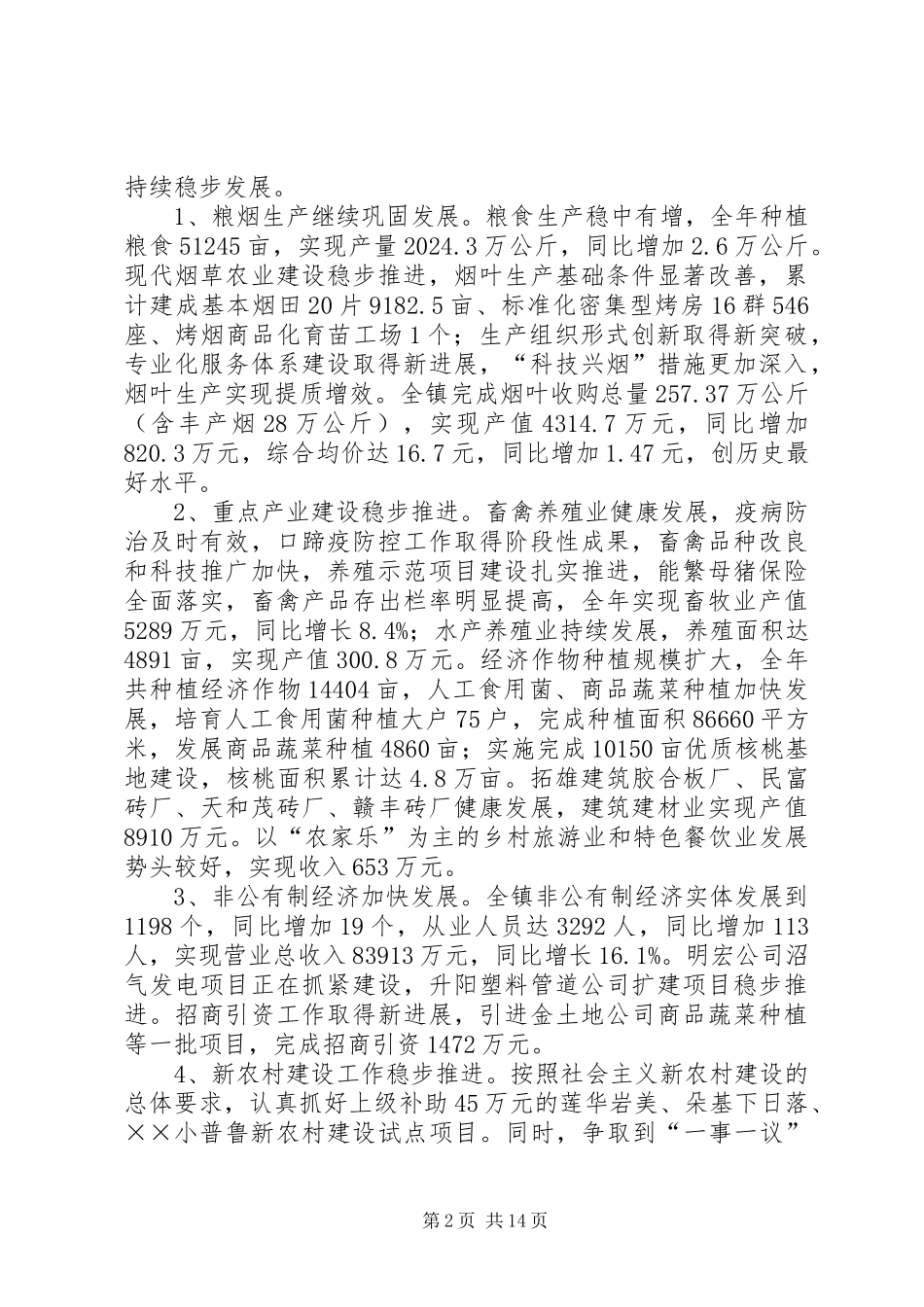 乡镇政府代表工作汇报_第2页