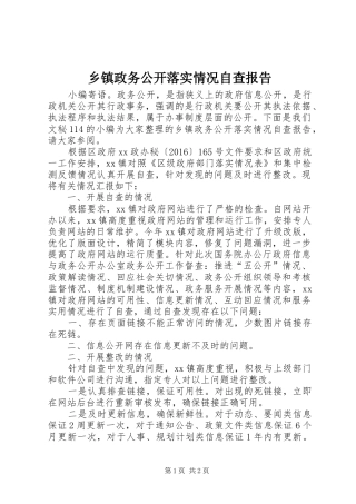 乡镇政务公开落实情况自查报告