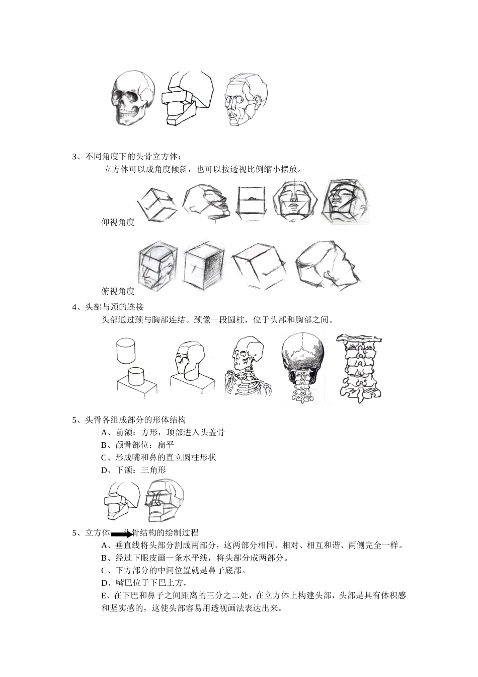 人的头部结构--头骨_第2页