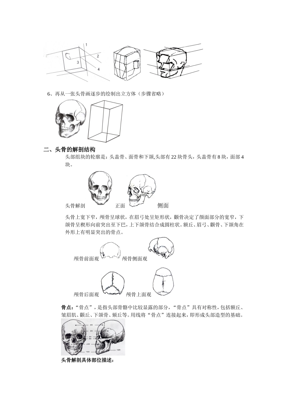 人的头部结构--头骨_第3页
