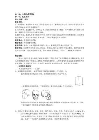 人的头部结构--头骨