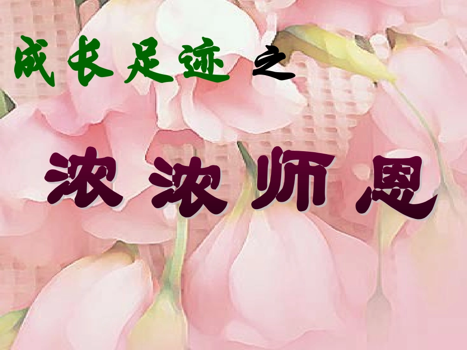 成长足迹课件_第3页