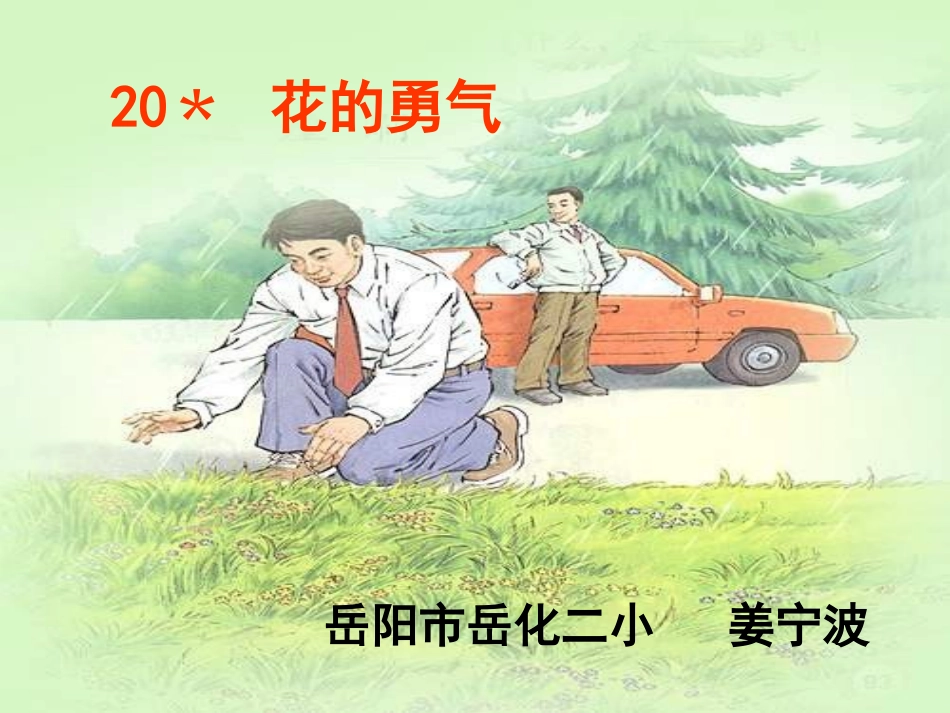 《花的勇气》说课稿_第1页