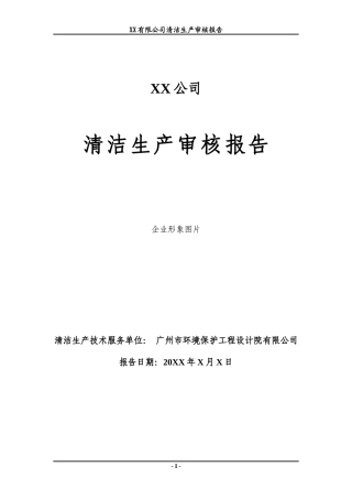 清洁生产审核报告编制范本