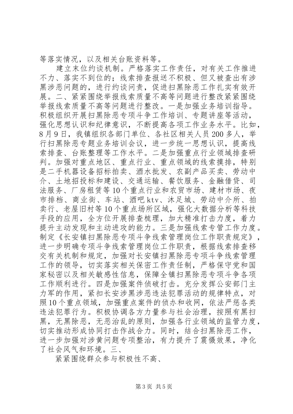 乡镇扫黑除恶督导反馈意见整改落实情况报告_第3页