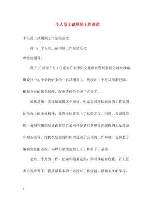 个人员工试用期工作总结