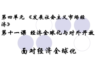 面对经济全球化