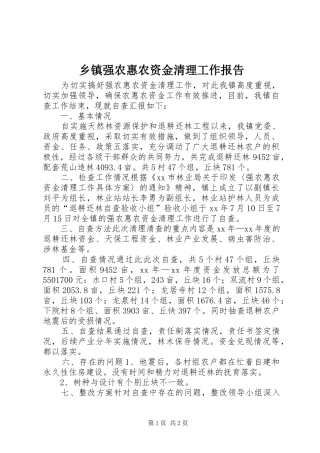 乡镇强农惠农资金清理工作报告