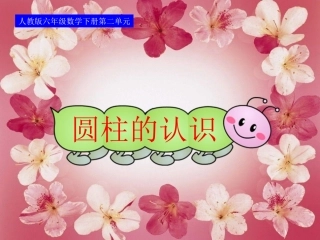 人教版六年级数学下册圆柱的认识