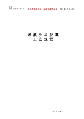 诺氟沙星胶囊工艺规程