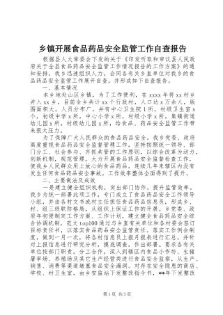 乡镇开展食品药品安全监管工作自查报告
