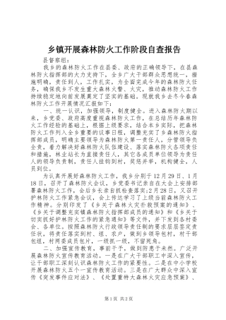 乡镇开展森林防火工作阶段自查报告