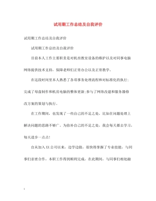 试用期工作总结及自我评价