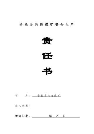 煤矿安全生产责任书XXXX