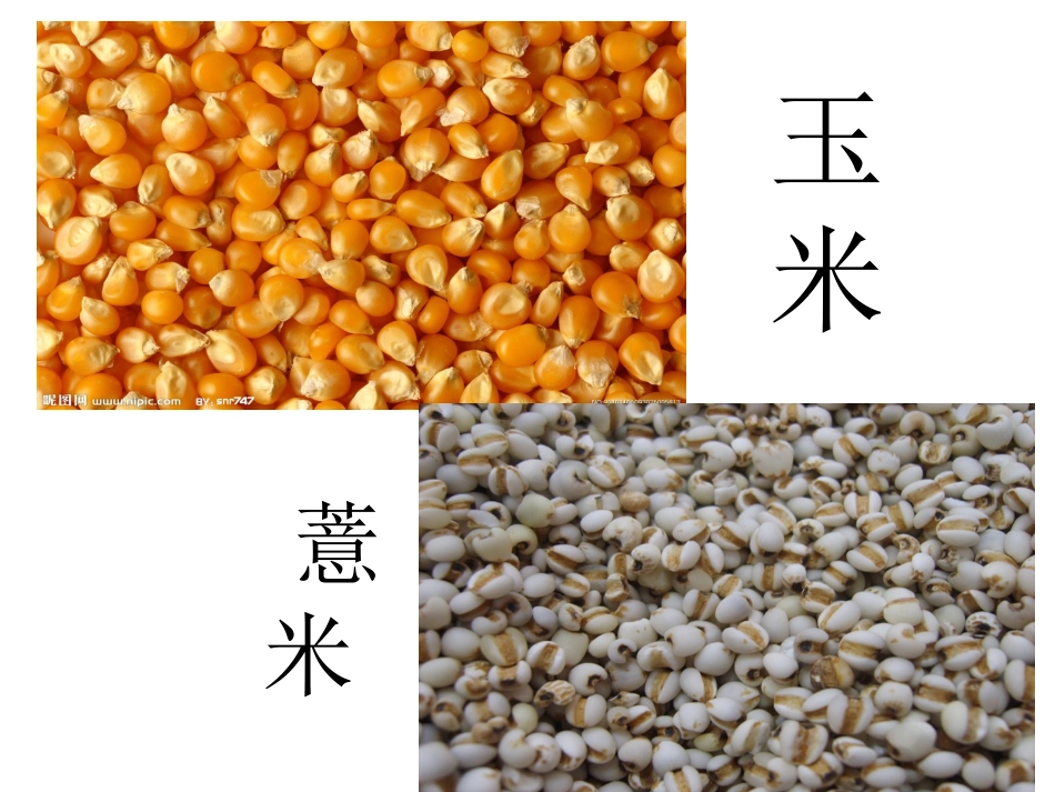 五谷杂粮课件_第3页
