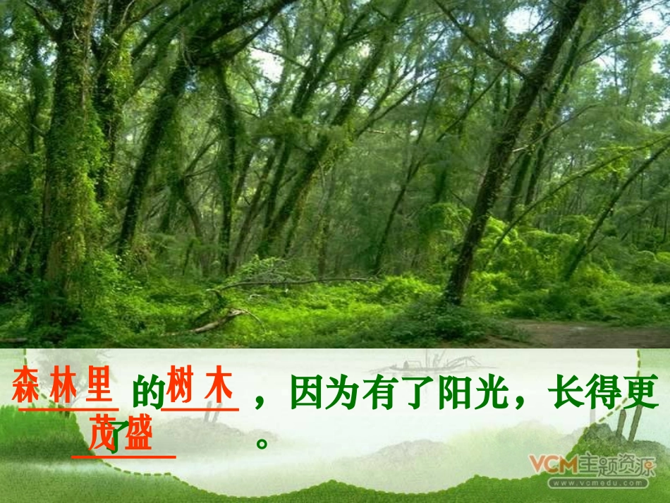 《阳光》课件 (2)_第3页