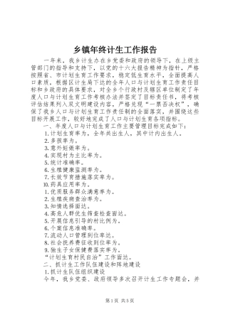 乡镇年终计生工作报告