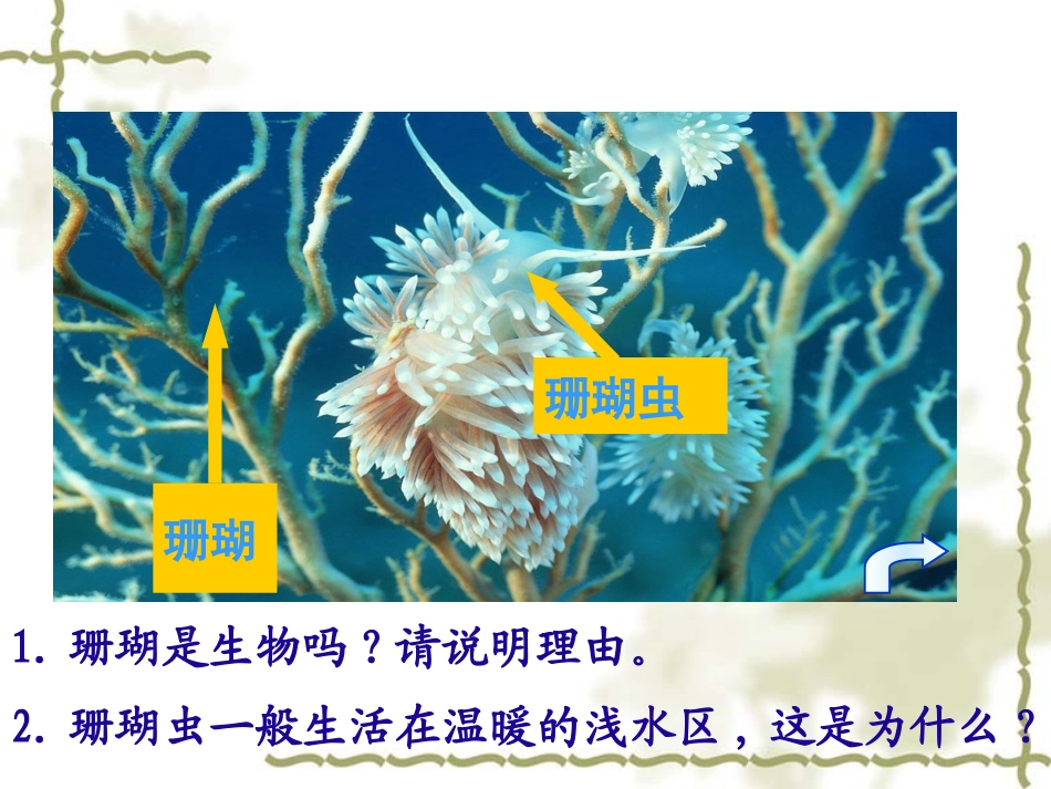 第二节《调查周边环境中的生物》_第2页