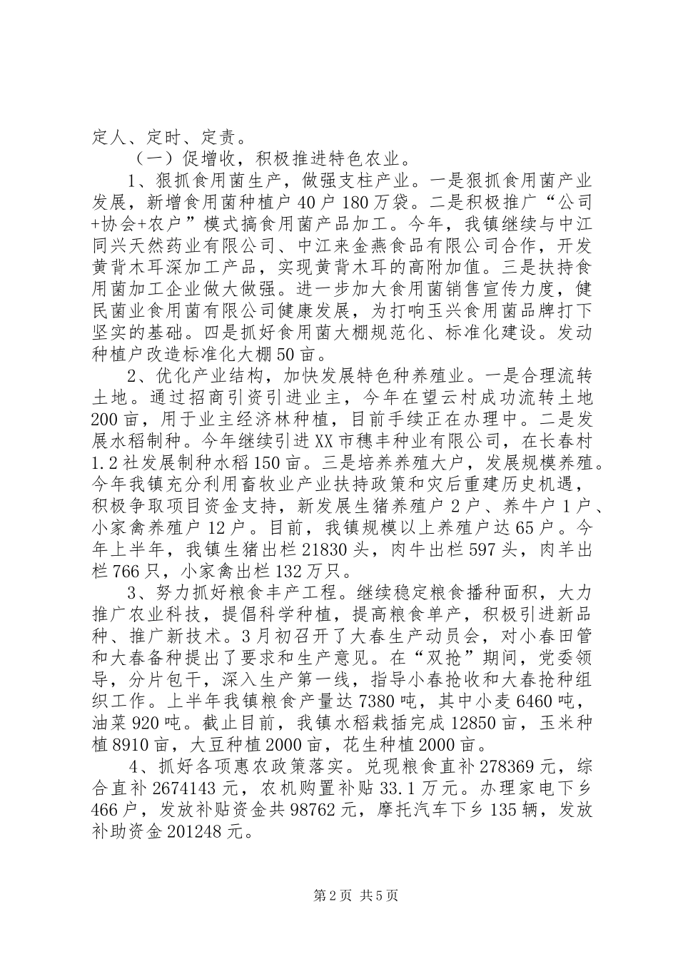 乡镇年中工作报告提纲_第2页