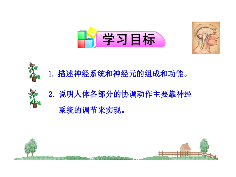 《神经系统的组成》_第3页