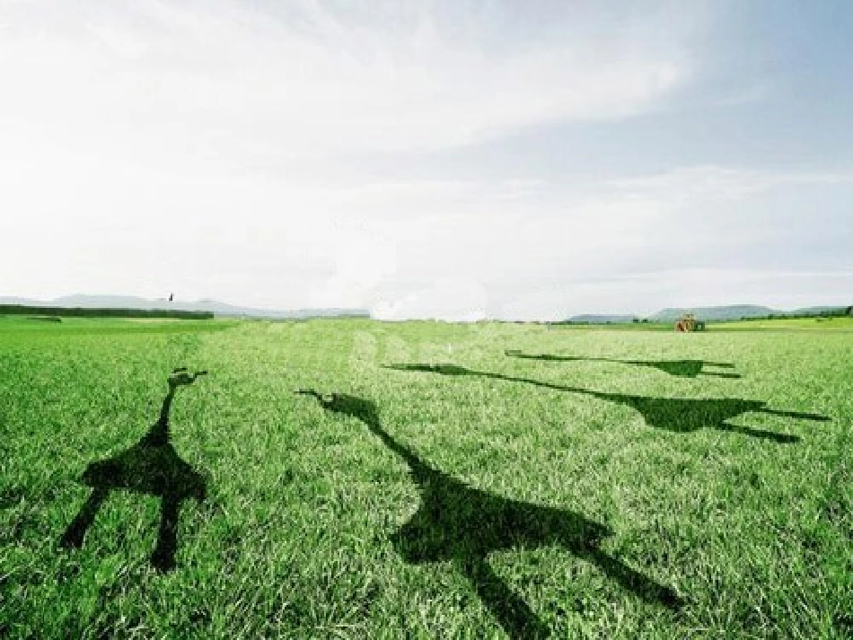 第二课时影子的联想_第1页